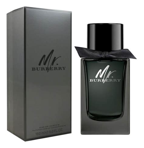 mr burberry edp review.